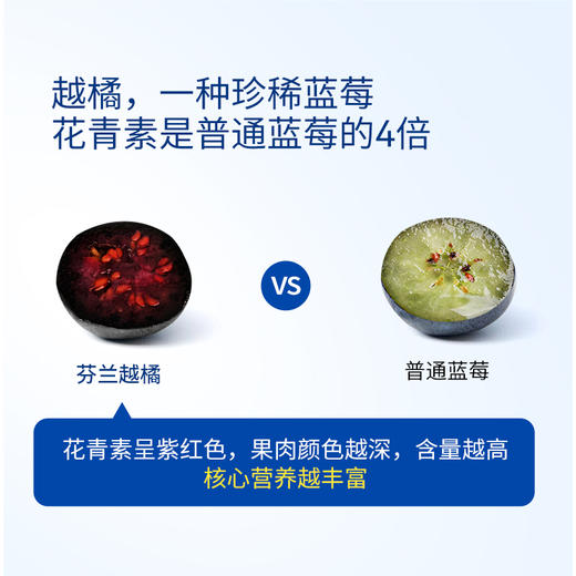 Hyllers芬兰越橘蓝莓护眼粉天然儿童成人视力疲劳眼睛保护叶黄素 商品图6