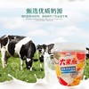 伊利 海南清补凉味大果粒风味发酵乳 260g/杯 商品缩略图2