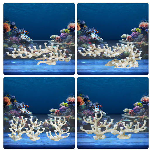 120缸枝状烧制造景 商品图5