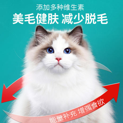 麦斯蒂营养膏120g化毛膏 猫咪狗狗保健品保健品批发 商品图2