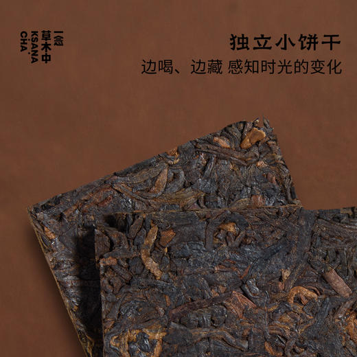 沉香蜜·2010年特级六堡 | 浮世茶系列 | 4g*15包 | 黑茶类 商品图1