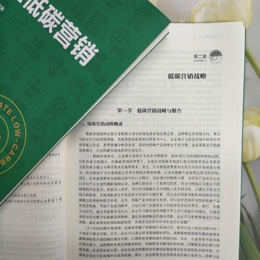 企业低碳营销 商品图1