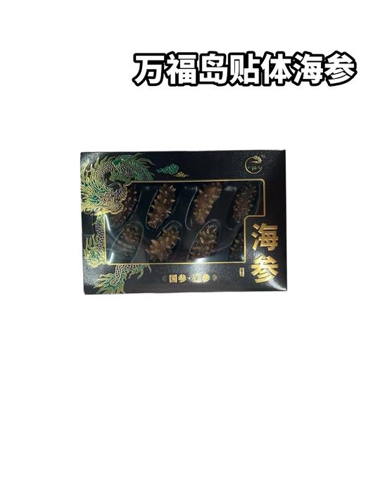 万福岛45贴体鲍鱼黑/万福岛58贴体海参黑 商品图1