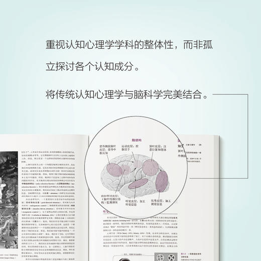 认知心理学及其启示（第9版）约翰·安德森认知心理学书籍认知神经科学脑科学记忆表象知觉推理决策 商品图4