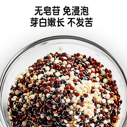 【去皂苷不苦涩】草牧里 三色藜麦 500g*2盒 芽白嫩长粒粒饱满 商品图1