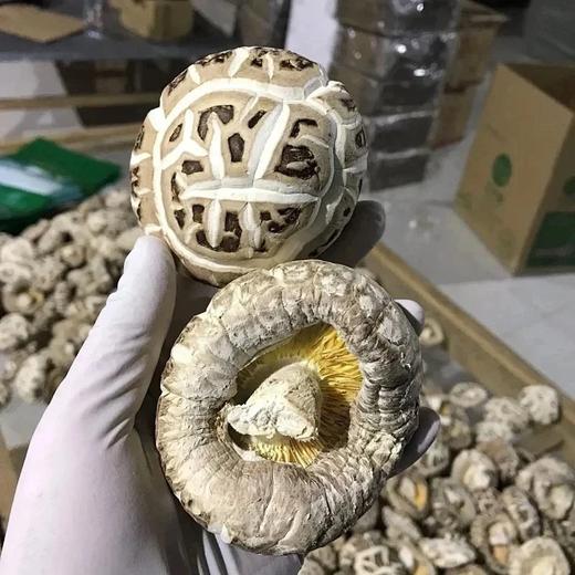 供港花菇，港款雪中冬花菇 拥有素鲍鱼之美誉 深山栎木与山泉水滋养 菇粉厚实 一斤干能泡7-8斤 去菇柄发货基地直邮 商品图0