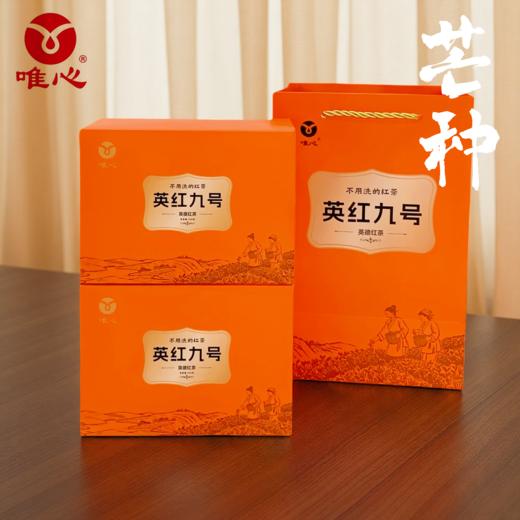 芒种英红九号 大份量一斤装 实惠口粮茶  英德红茶 无公害无农残无化肥 商品图0