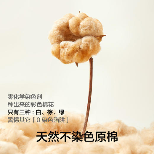 【新品上新】【不染色原棉】有棵树10A抗菌透气纯棉女士三角内裤4条装-U3313 商品图1