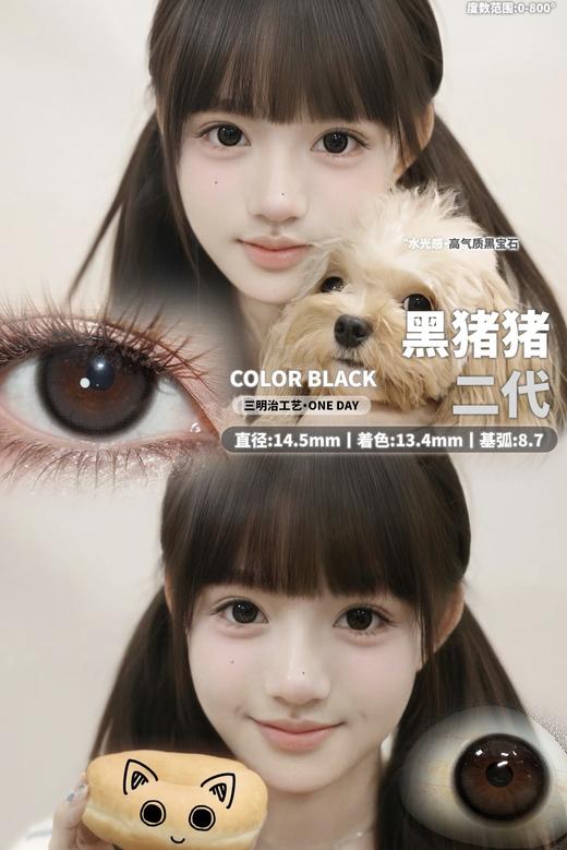 黑猪猪二代【日抛】 商品图0