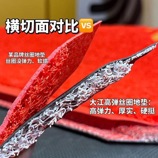 【大江地垫】耐磨耐蹭 防滑贴地久用不褪色 喜庆好运全年围绕 预售3天（周末不发） 商品图2