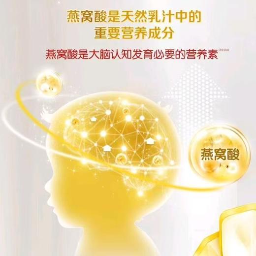 伊利金领冠珍护较大婴儿配方奶粉(6-12个月,2段)800克*6罐 商品图3