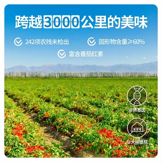 【新疆切块番茄】新疆高品质罐装番茄 洗净去皮切块 让美味告别繁琐！ 商品图3