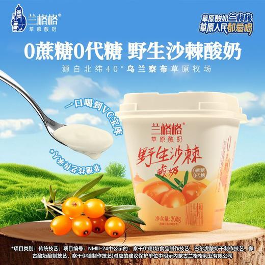 兰格格300g草原野生沙棘酸奶 商品图0