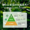 有机凤凰单从茶 鸭屎香/蜜兰香 有机茶礼盒 160g 商品缩略图6