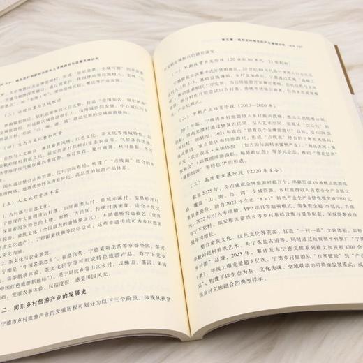 闽东农村创新创业带头人培养路径与政策支持研究 商品图4