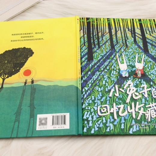 小兔子的回忆收藏罐 商品图3