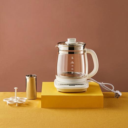 小熊养生壶煮茶器多功能烧水壶电热水壶迷你玻璃花茶壶保温热奶壶 YSH-C18Z2 商品图1