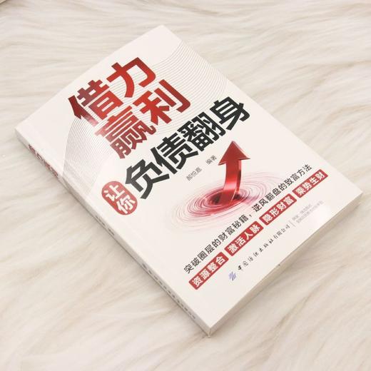 借力赢利 商品图1