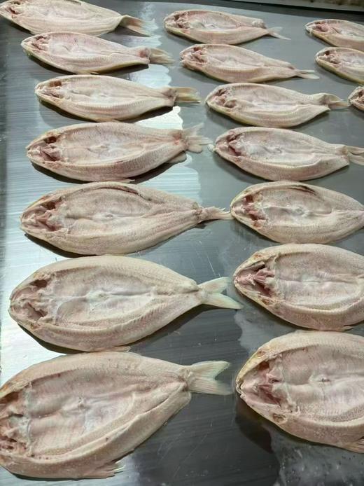 贵妃雪鱼900-1000 商品图9