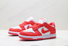 耐克NIKE DUNK LOW RETRO低帮休闲运动板鞋DD1391-101男女鞋 商品缩略图3