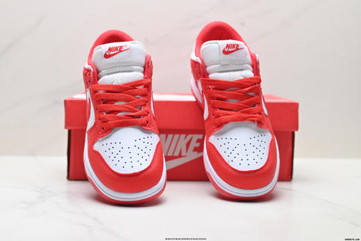 耐克NIKE DUNK LOW RETRO低帮休闲运动板鞋DD1391-101男女鞋 商品图6