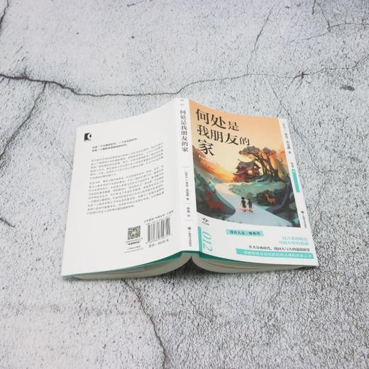 何处是我朋友的家 商品图3