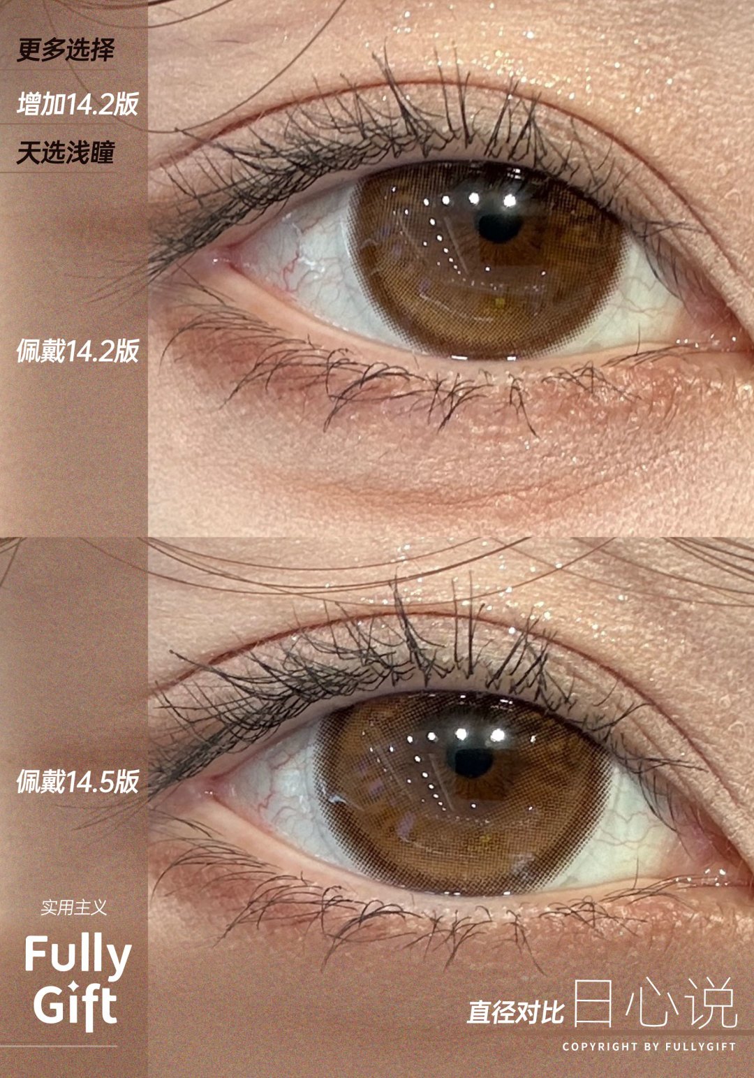 fullygift日抛 日心说 14.5mm/日心说mini 14.2mm 琥珀棕  一盒十片 日抛无售后！！