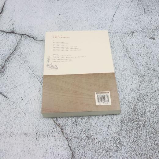 苏轼交游 商品图2