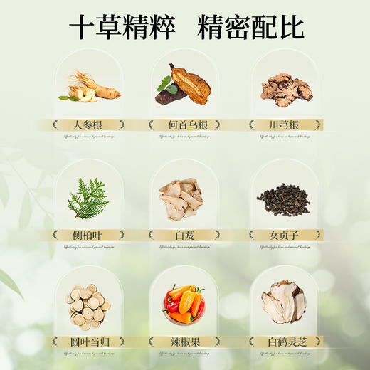 自营（菲小主）-霜苒 人参十草盈润养发洗发水500ml 商品图2
