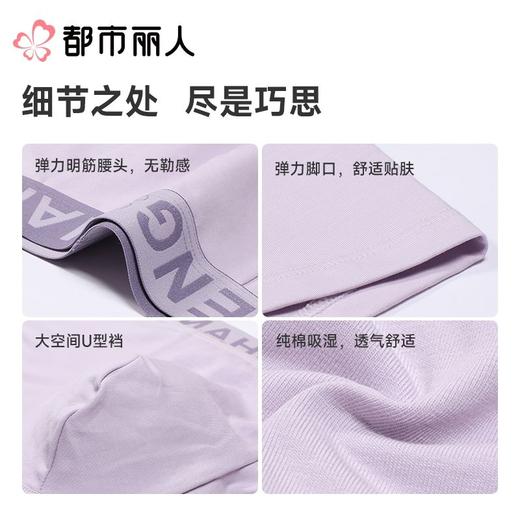 都市丽人内裤男士内裤50S棉内裤棉平角内裤明筋内裤FKCC29 商品图3