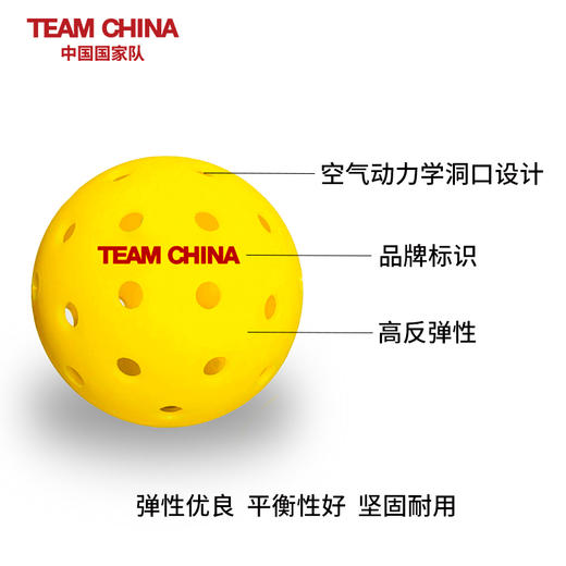 匹克球 商品图1