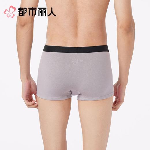 都市丽人内裤男士内裤棉质内裤人棉平角内裤明筋内裤FKCZ01 商品图2