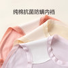 芬腾内裤女10A级抗菌防螨内裆中腰纯棉三角裤简约透气舒适短裤头 商品缩略图4