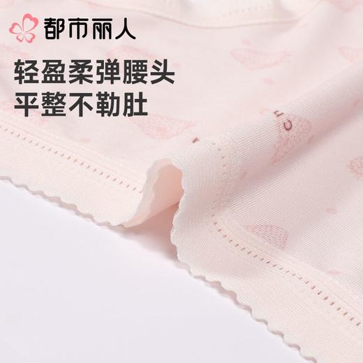 都市丽人内裤女士内裤50支莫代尔内裤木代尔内裤纤柔绵内裤LKC5C6 商品图6