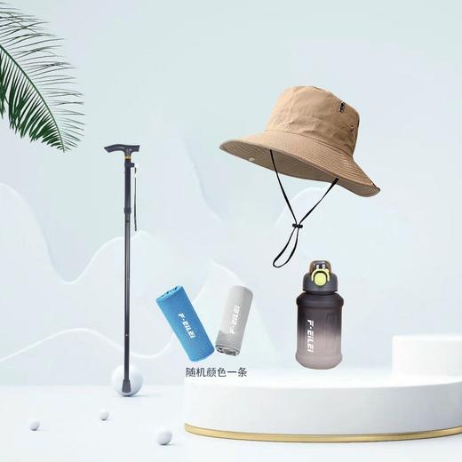 EILEI户外登山套装B（渔夫帽54-60cm+水杯800ml+登山杖85-95cm+运动巾100*30cm）【颜色随机发货】 商品图0