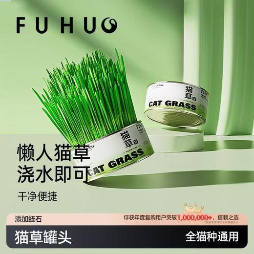 【余额抵扣】俘获F2小麦猫草种植猫草盆栽懒人猫草罐头 商品图0