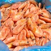 北极甜虾【顺丰发货】 商品缩略图5