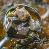 鸭血粉丝汤|滑嫩鸭血+Q弹粉丝，还原地道南京味 商品缩略图8