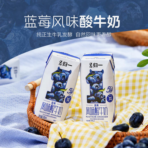 归一蓝莓风味酸牛奶200mL*12盒*2箱生牛乳发酵酸奶 商品图2