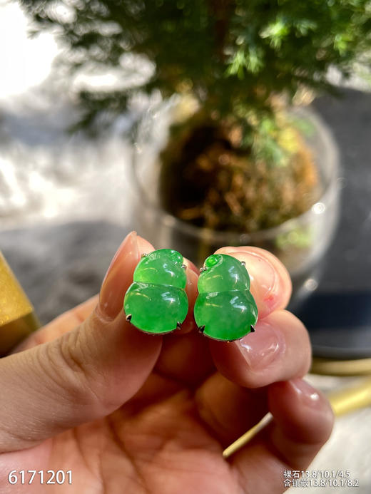 6171201，葫芦耳钉。具体价格微信咨询 商品图2