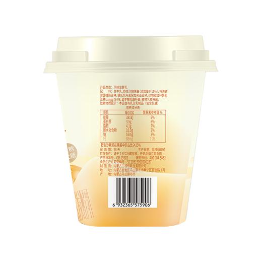 兰格格300g草原野生沙棘酸奶 商品图2