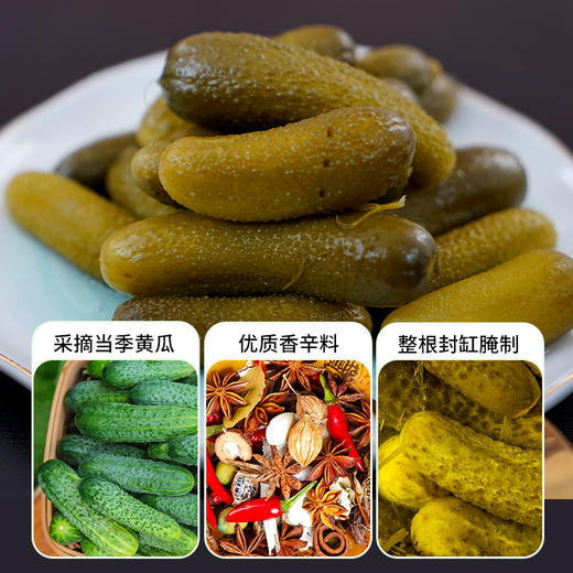 野兽优选｜卢卡布俄式乳黄瓜罐头330g/罐 低糖微甜/低糖微酸 商品图2