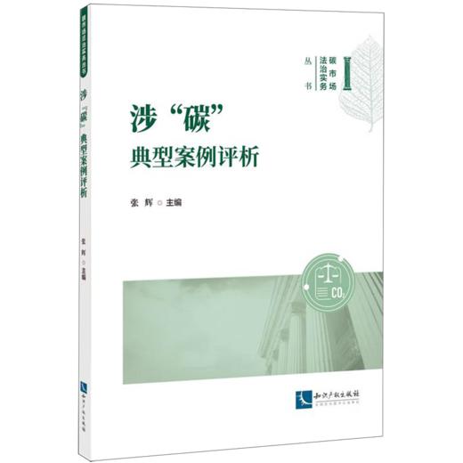 涉碳典型案例评析 商品图0