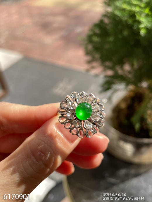 6170901，蛋面戒指。具体价格微信咨询 商品图2