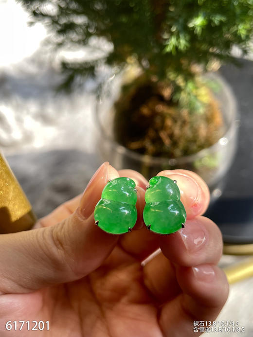 6171201，葫芦耳钉。具体价格微信咨询 商品图0