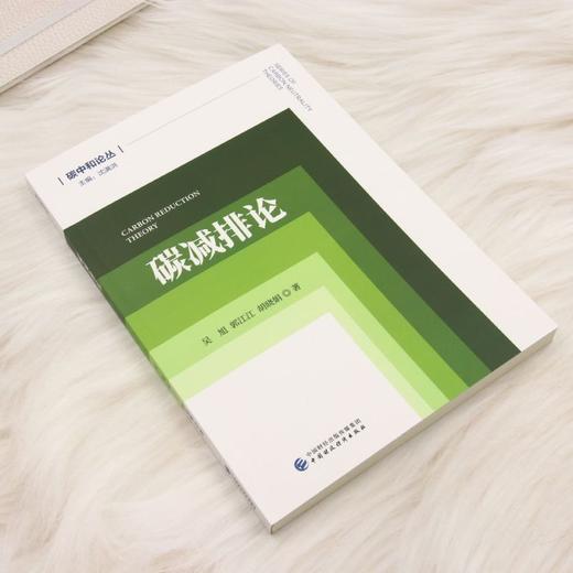 碳减排论 商品图1