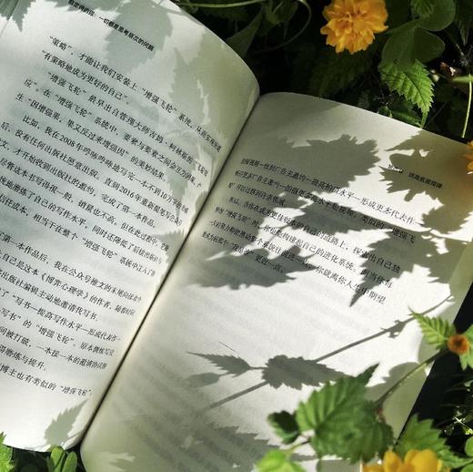 薛定谔的猫：一切都是思考层次的问题 商品图2