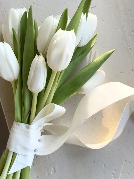 荷兰花材-进口【维珍白】郁金香 商品图0