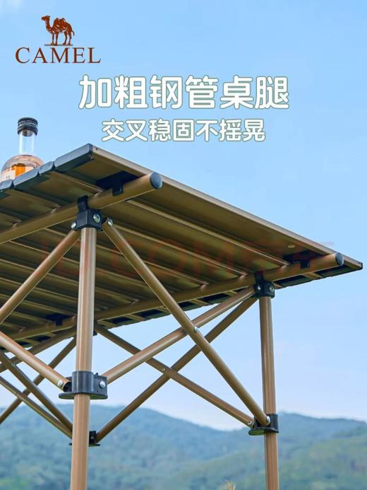 【金皇会员299金币专享】骆驼（CAMEL）【京东专供】户外折叠桌折叠椅露营野餐野营桌椅 1桌4椅套装 商品图4