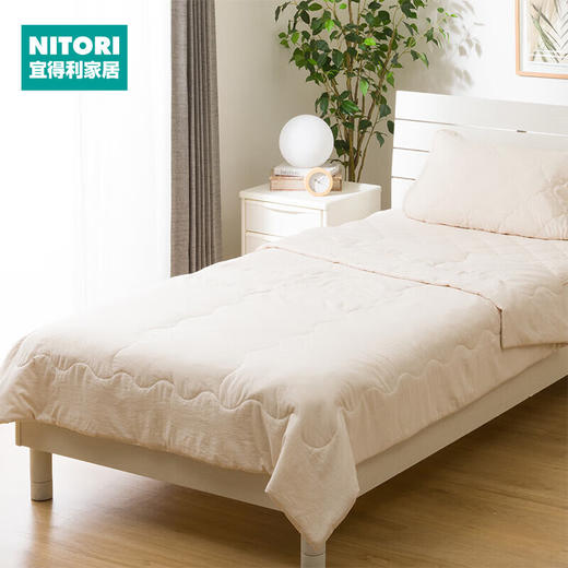 NITORI宜得利家居 床上用品家用宿舍新款单双人薄被 水洗波里 商品图0